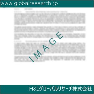 グローバルリサーチ調査資料のイメージ